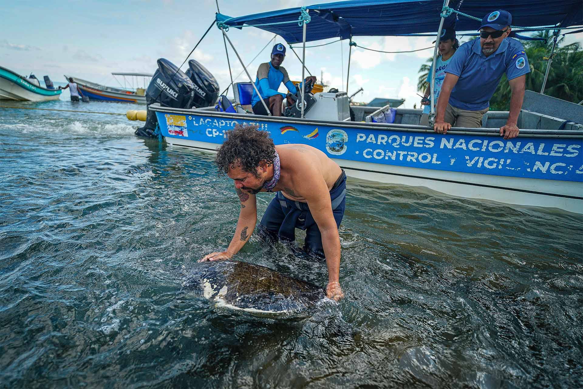 Isla Gorgona - Especiales El País