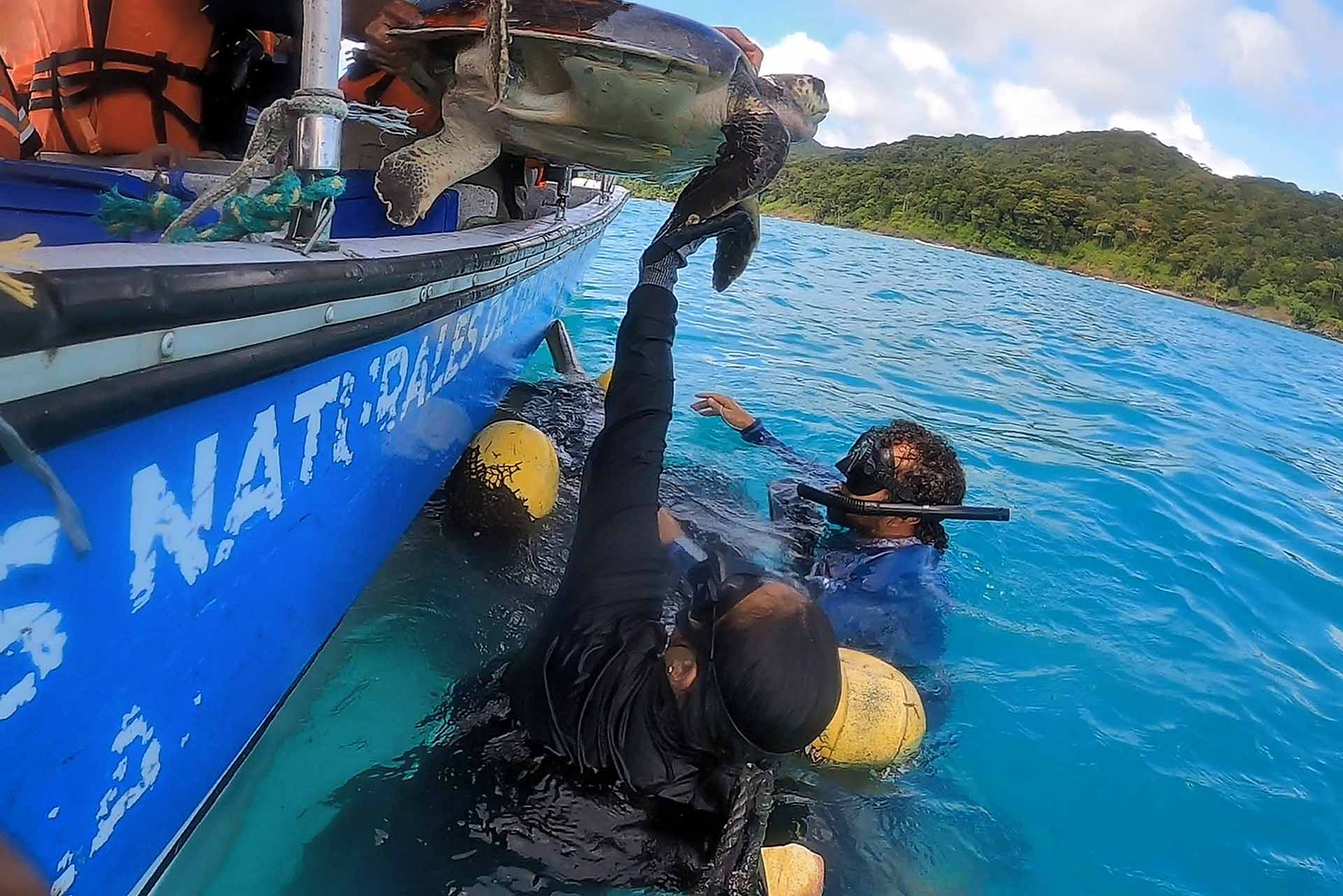Isla Gorgona - Especiales El País