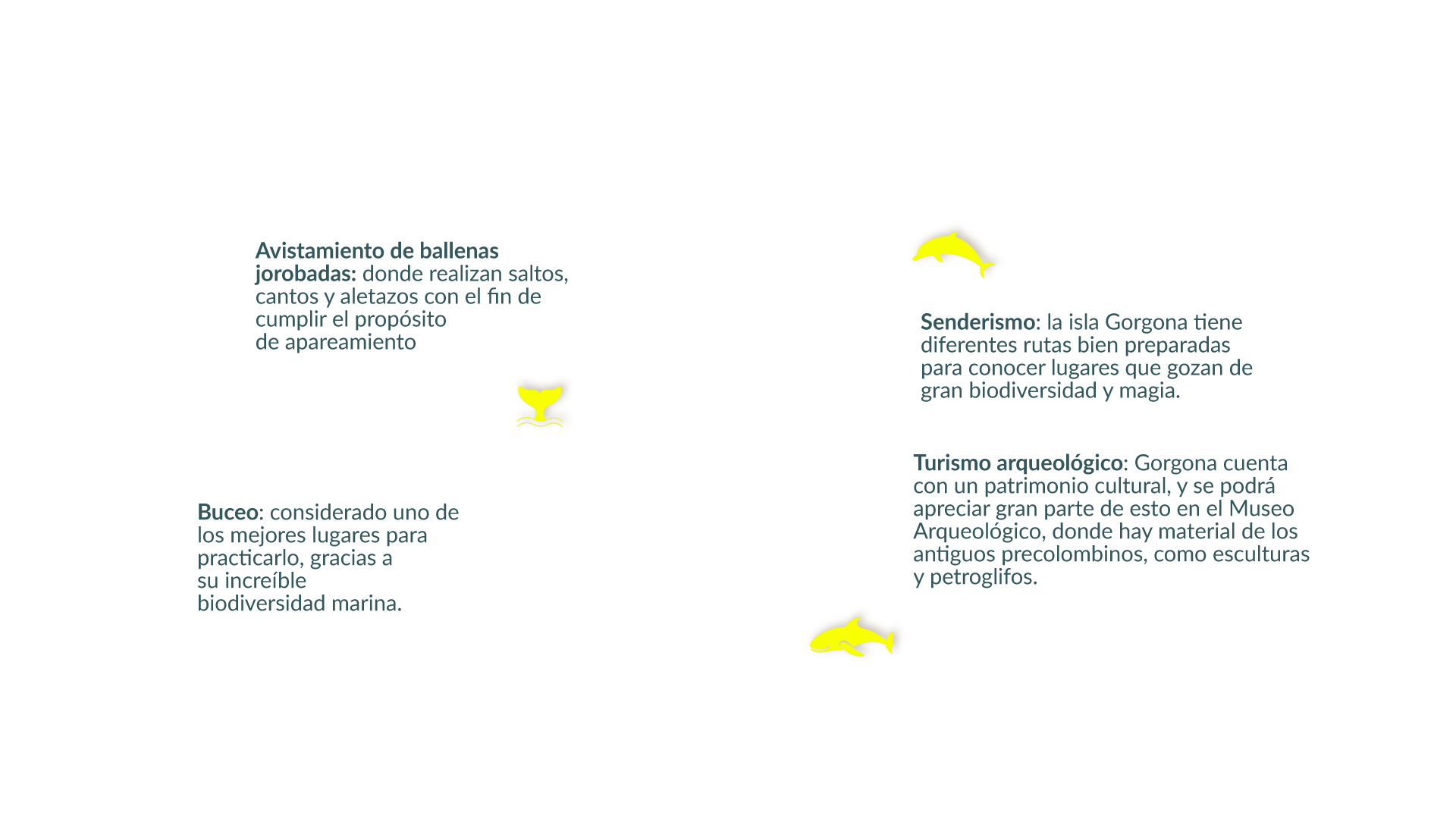 Mapa Isla Gorgona