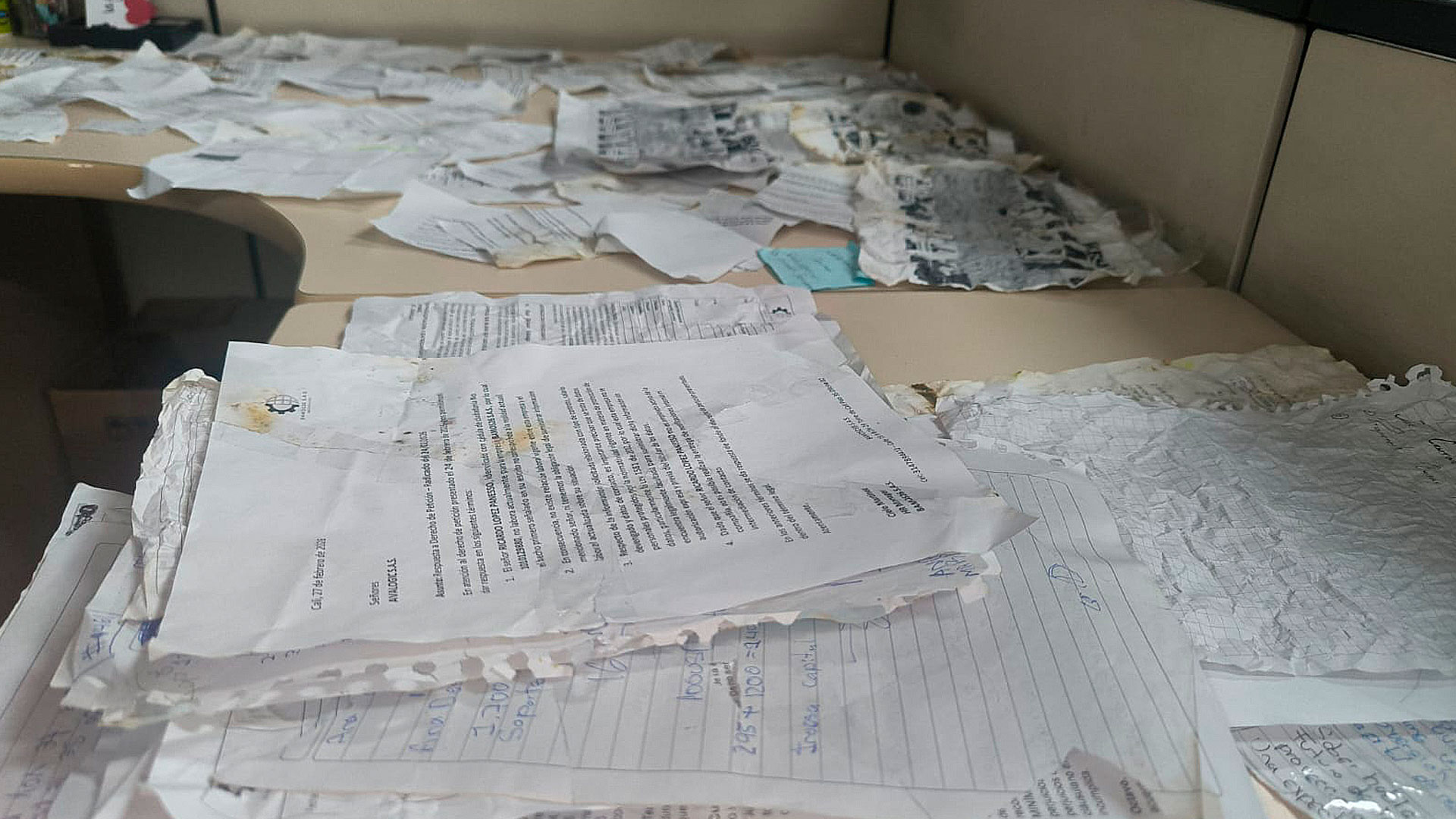 Documentos reconstruidos