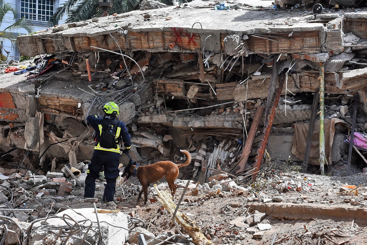 Organismos de socorro buscan sobrevivientes en el edificio Cantabria